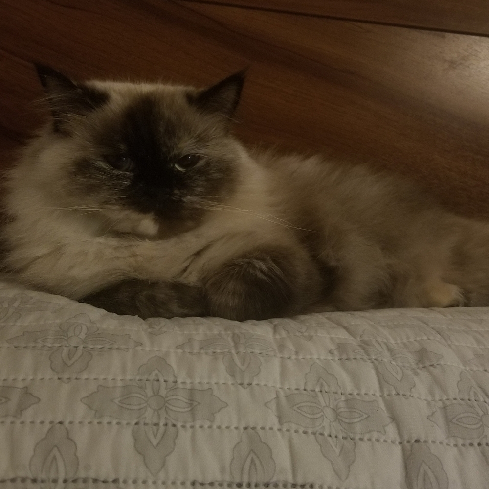 Meet your Posher, Sabrina
